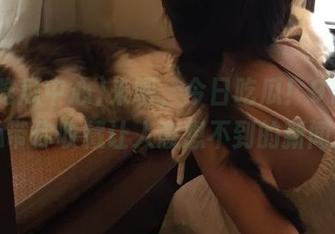 来吧，今日吃瓜！91吃瓜中心带你收藏让人意想不到的新闻趣事