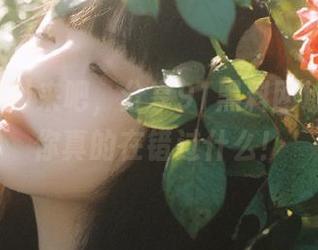来吧，分享91黑料网址，不看你真的在错过什么！