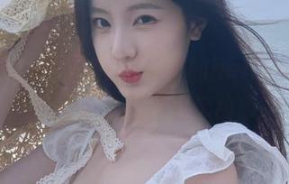 揭秘！网址中的heiliao.su，和你分享那些傻瓜故事