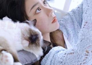 吃瓜导航：直达吃瓜现场，见证真相就在一瞬间！