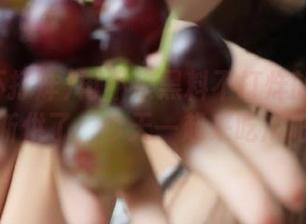 再不来黑料不打烊的线路就要断供了，今天一起来吃瓜吧！