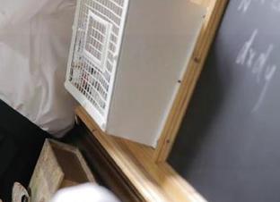“黑料不打烊”到底在哪儿可以登录啊？求个攻略！（别让我蒙圈！）