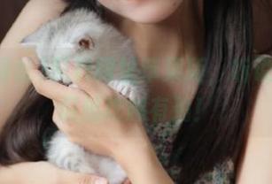 黑料网址苹果版，听说这里的瓜越吃越有劲！